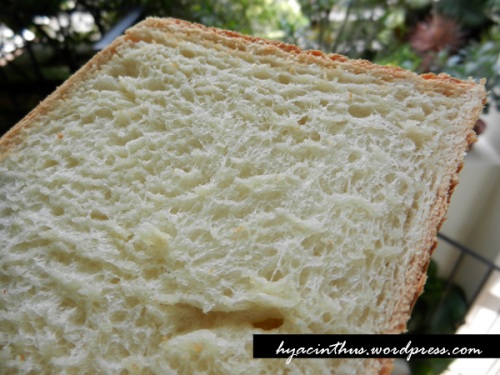 sandwich bread recipe